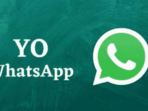 Kekurangan YO WhatsApp yang Perlu di Ketahui, Apa Saja